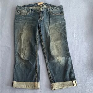 Banana Republic Blue Ankle Cropped Jeans